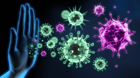 Visual concept of immune system and defense