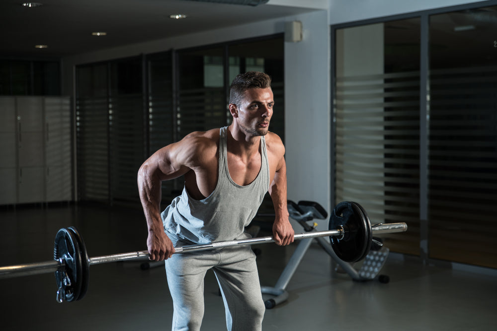 7 Best Barbell Row Alternatives for Back & Core Workouts - Steel