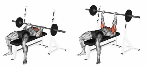 Close-Grip Barbell Bench Press. 3D illustration