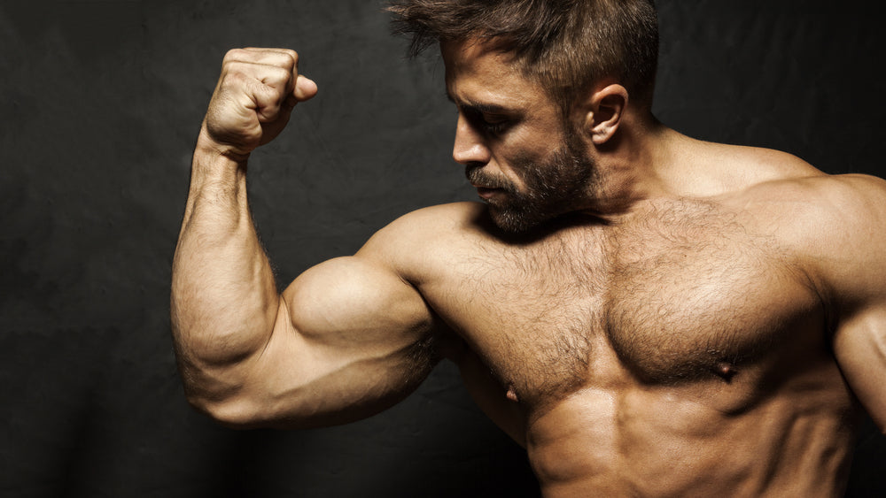 7 Best Long Head Bicep Exercises for Getting Built - Steel Supplements