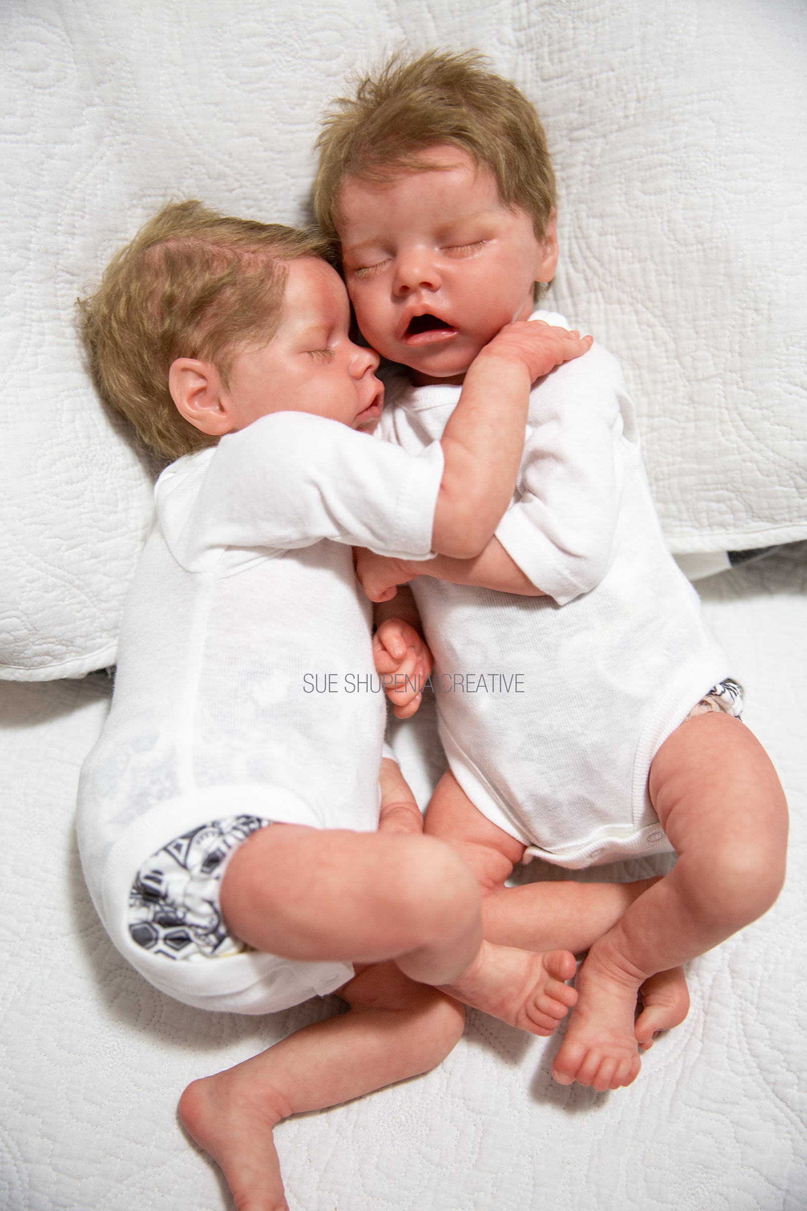 reborn toddlers twins