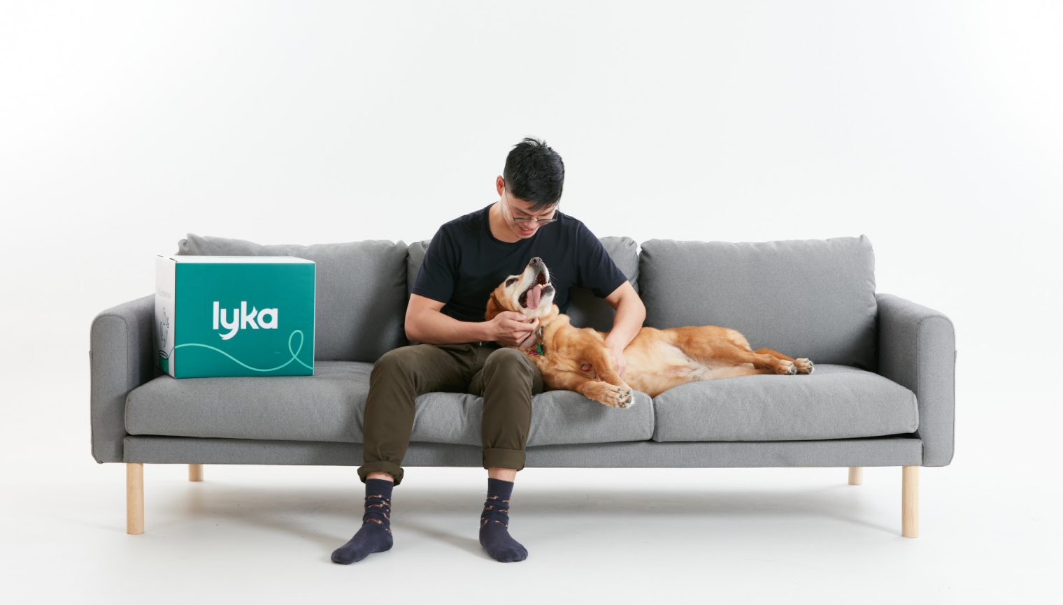 Man with dog on All Day Sofa 