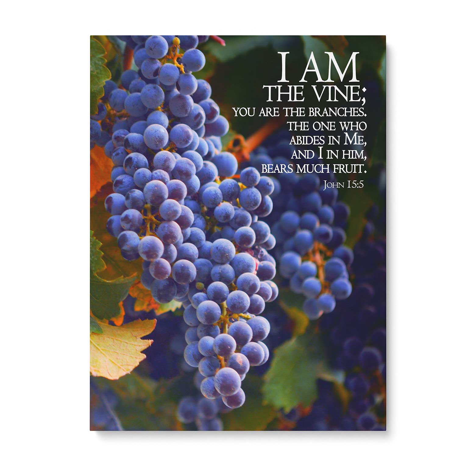 I Am the Vine" - 5x7 Tabletop Canvas Art – I Am Israel