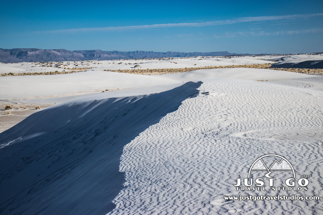 are dogs allowed at white sands national monument