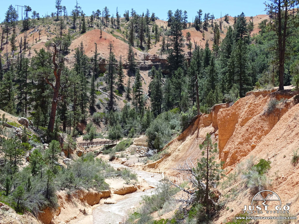 Mossy Cave Trail in bryce canyon national park