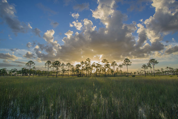 Big Cypress National Preserve