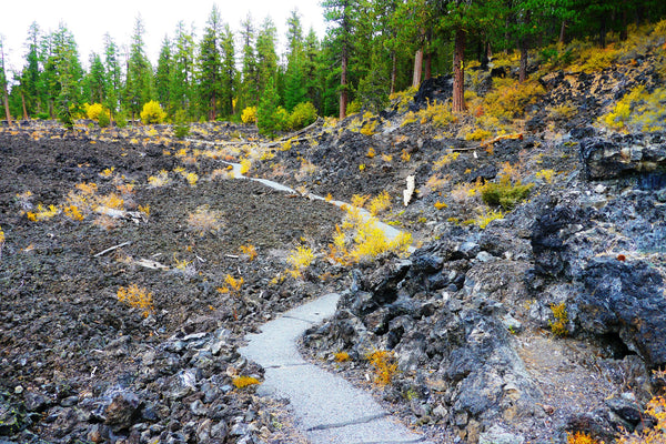 lava cast area forest in Newberry Volcanic National Monument
