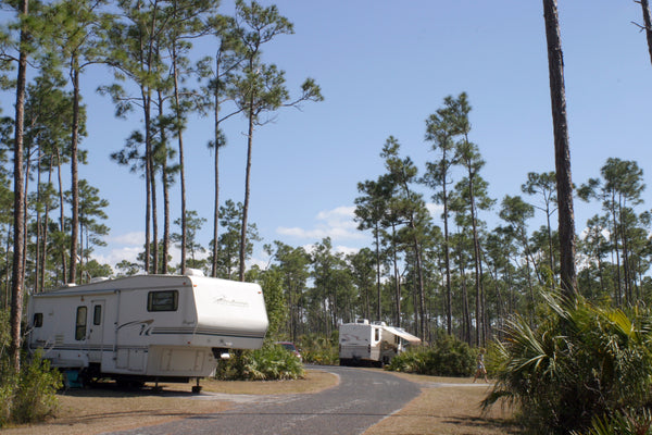 long pine key campground in Everglades National Park