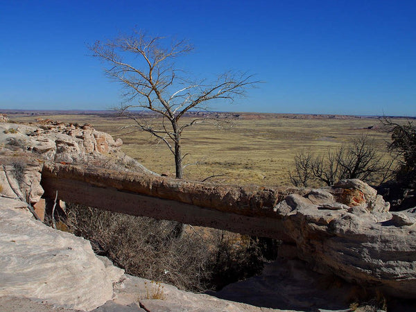 Agate Bridge in Petrified Forest National Park