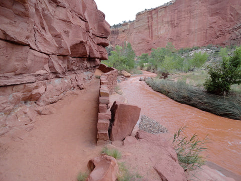 Near the Fremont River in Capitol Reef National Park