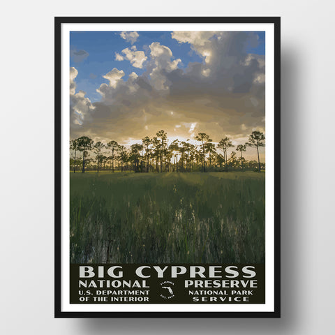 Big Cypress National Preserve Poster