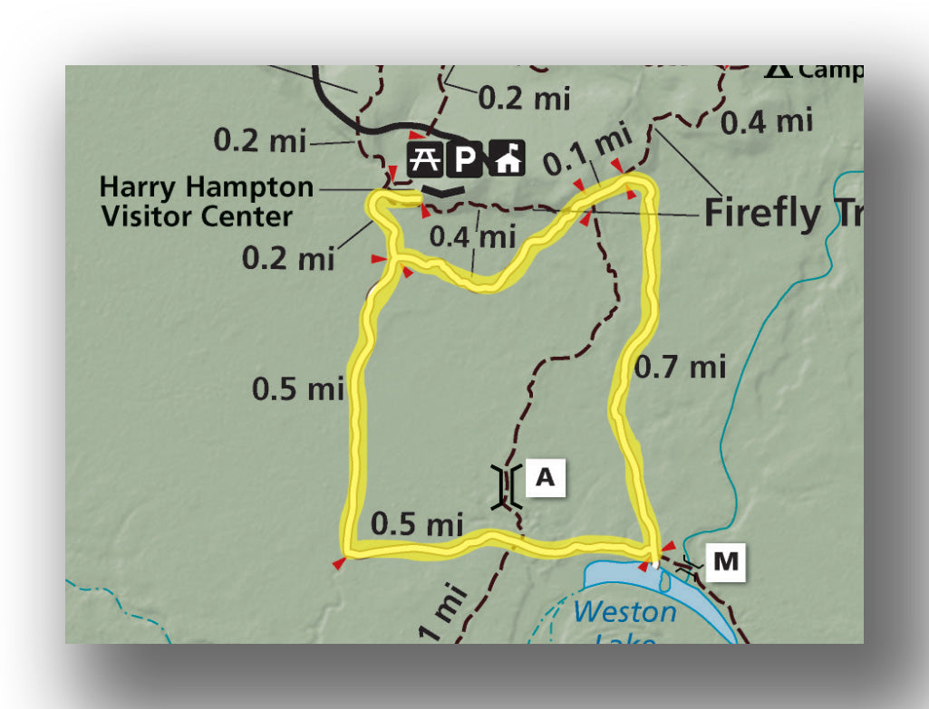 boardwalk loop trail map for congaree national park