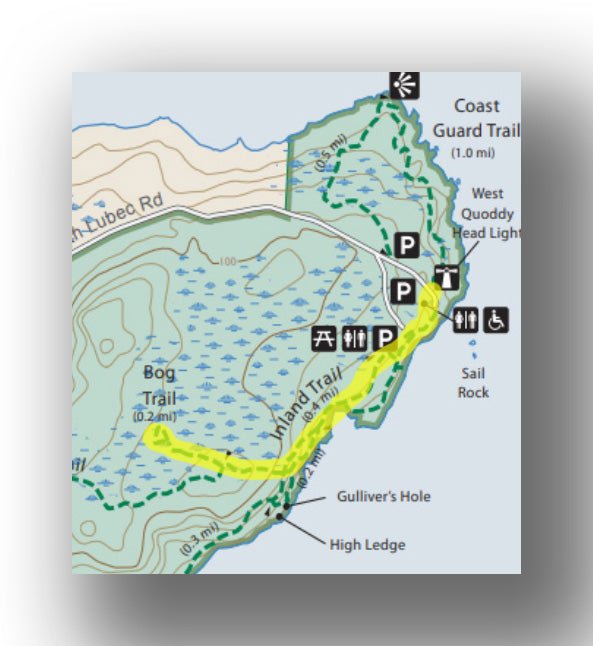 bog trail map