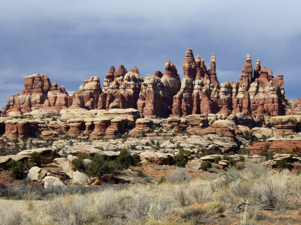 Needles District in Canyonlands National Park