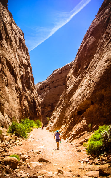 Capitol Gorge Trail in Capitol Reef