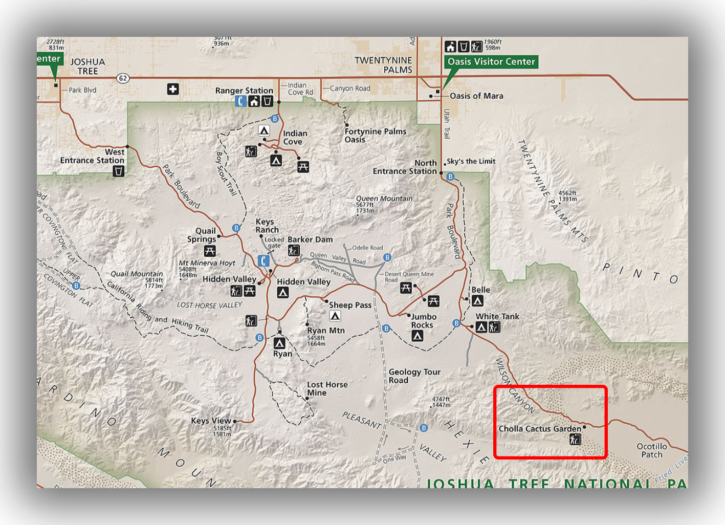 Cholla Cactus Garden Map