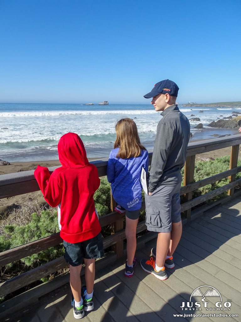 what to see and do in julia pfeiffer burns state park