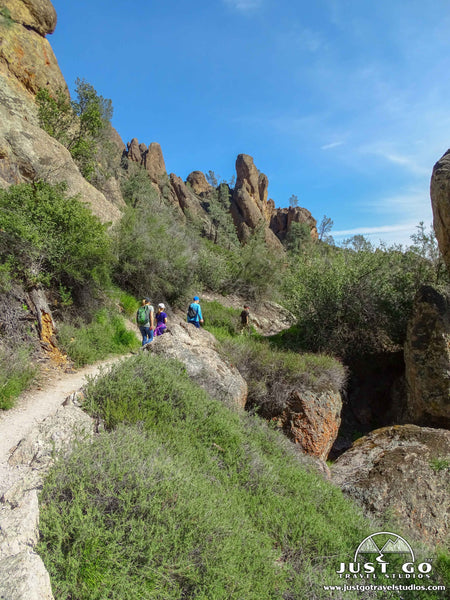 condor gulch trail in Pinnacles National Park