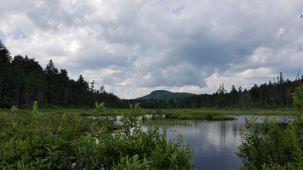 what to see and do in groton state forest