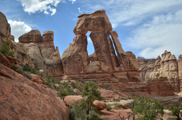 Druid Arch in Canyonlands National Park