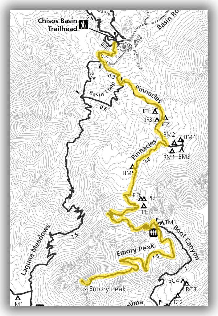 Emory Peak Trail in Big Bend National Park