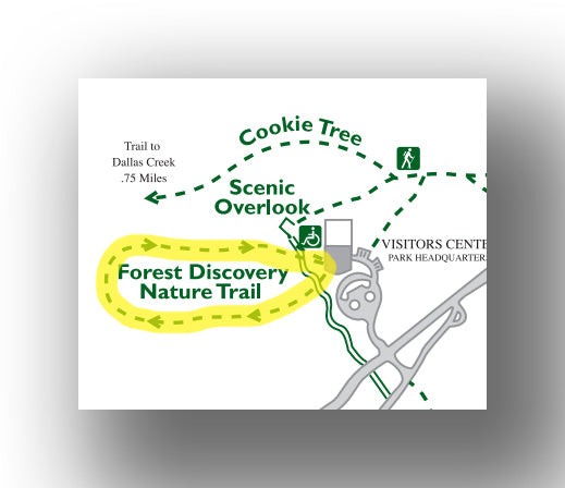 forest discovery nature trail map