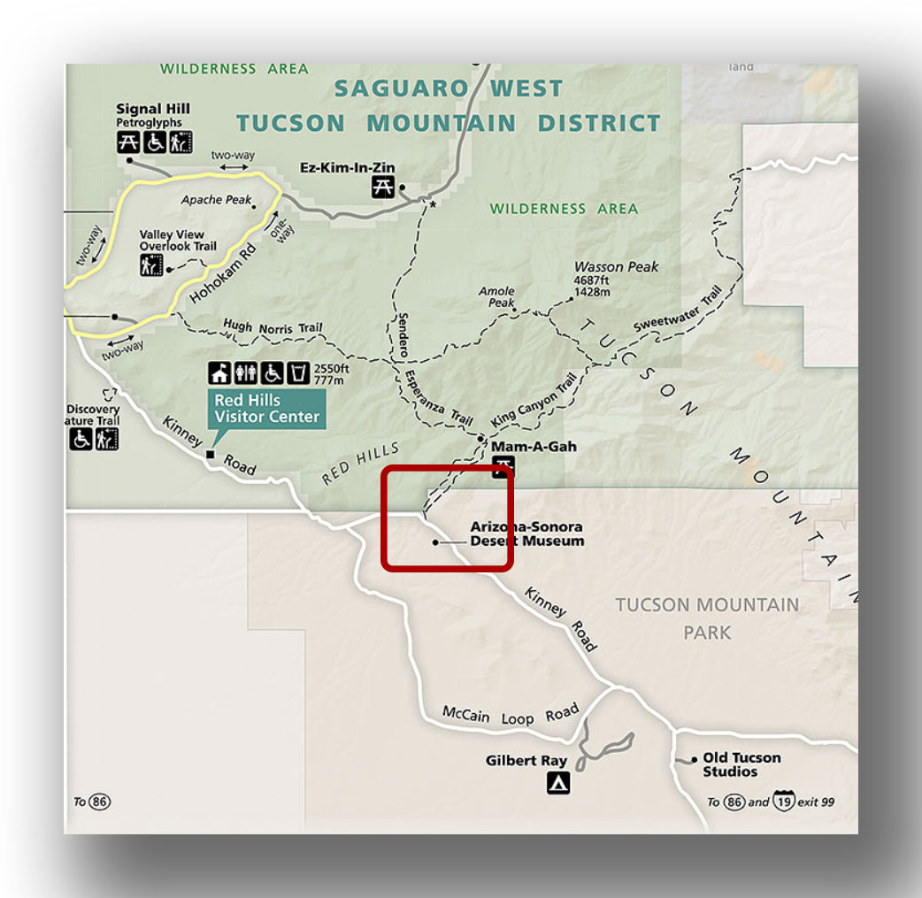 Gould Mine Trail in Saguaro National Park parking area map