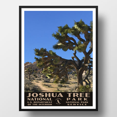 Joshua tree National park Poster