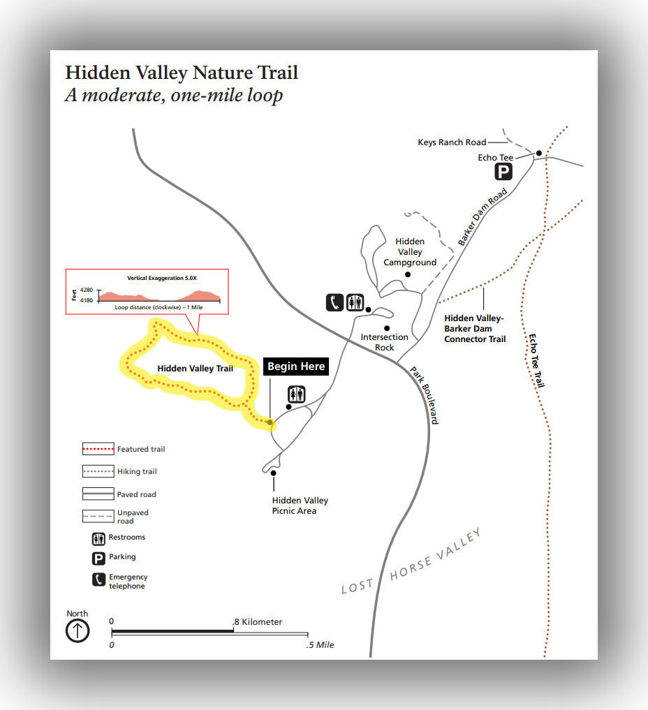 Hidden Valley Trail in Joshua Tree National Park