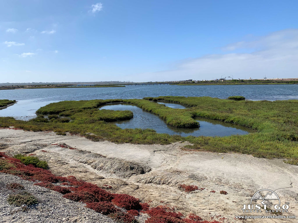 Bolsa Chica State Ecological Reserve