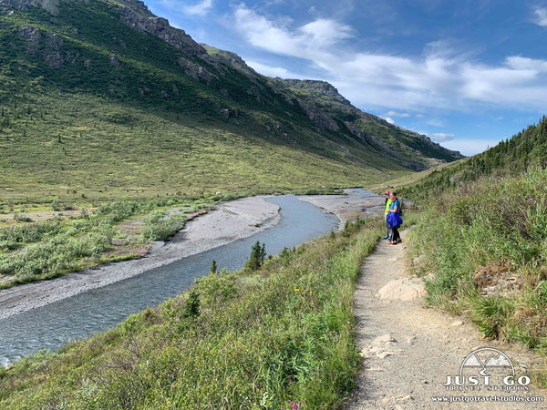 savage river loop in Denali National Park