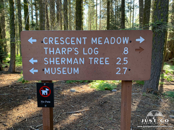 crescent meadow in sequoia national park