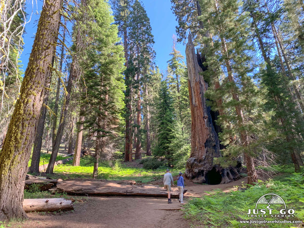crescent meadow in sequoia national park
