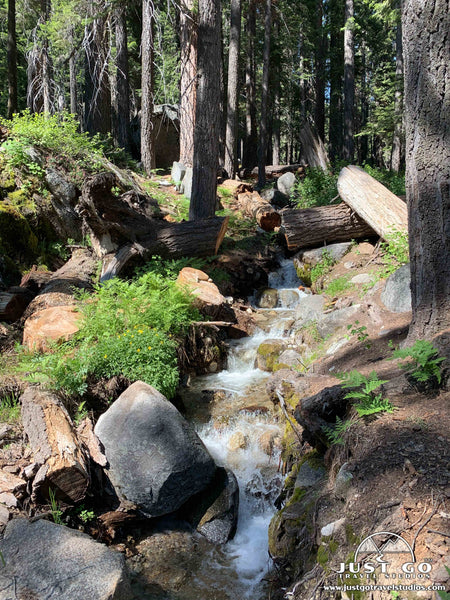 Tokopah Falls in Sequoia National Park