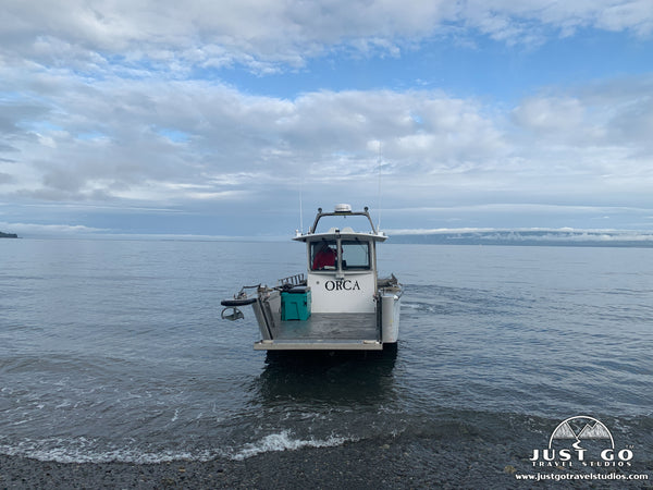 grewingk glacier trail in kachemak bay state park