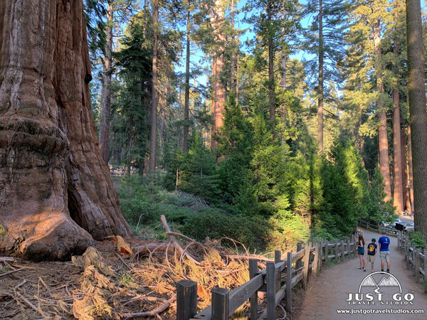 General Grant Grove in Kings Canyon National Park