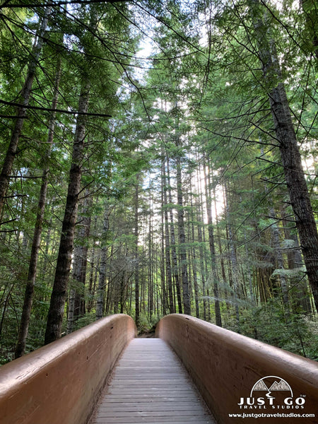 Lady Bird Johnson Trail in Redwood National Park