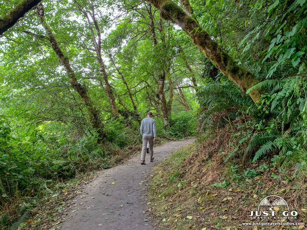 Fern Canyon Trail 