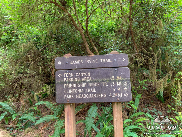 Fern Canyon trail in Prairie Creek Redwoods State Park