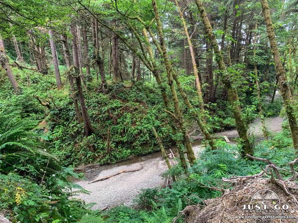 Hiking in Fern Canyon in Prairie Creek Redwoods State Park