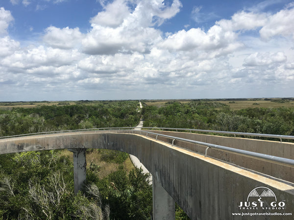 view from the tower in shark valley in Everglades National Park