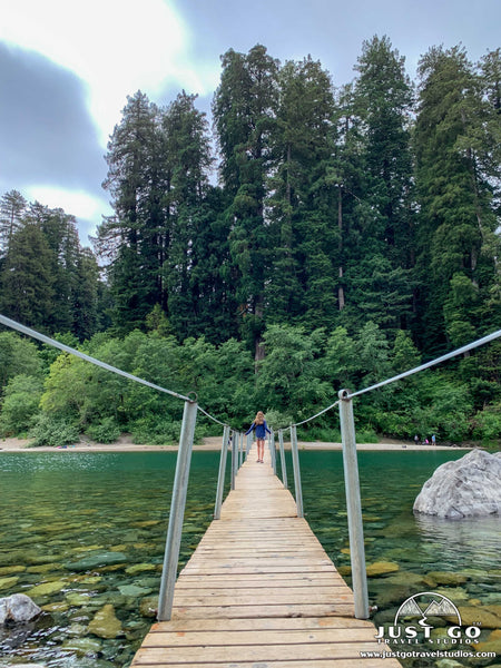 Jedediah Smith Redwoods State Park What to See and Do