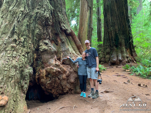 Jedediah Smith Redwoods State Park What to See and Do