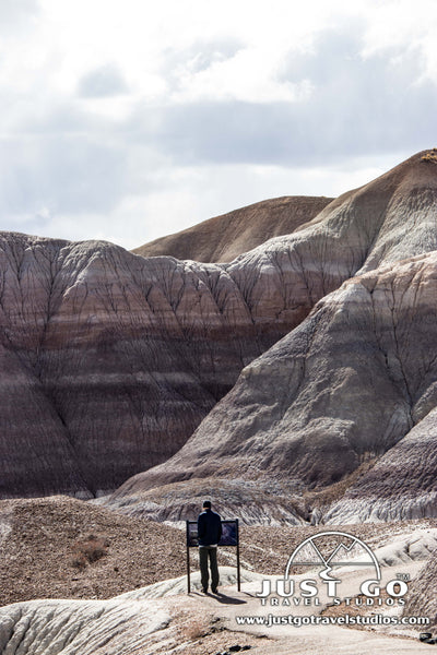 The fork in the Blue Mesa