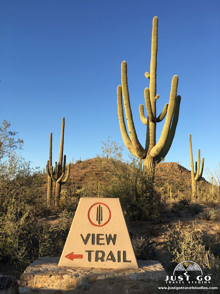 Valley View Overlook Trail in Saguaro National Park