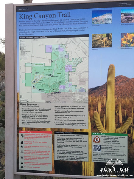 Gould Mine Trail in Saguaro National Park