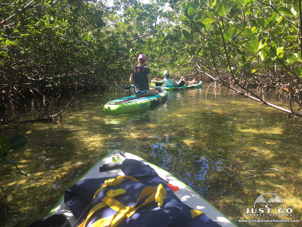 paddle boarding in Jones Lagoon in Biscayne National Park