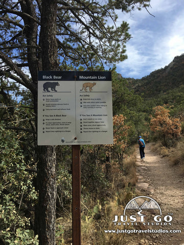 Animal Warning Signs on the Lost Mine Trail