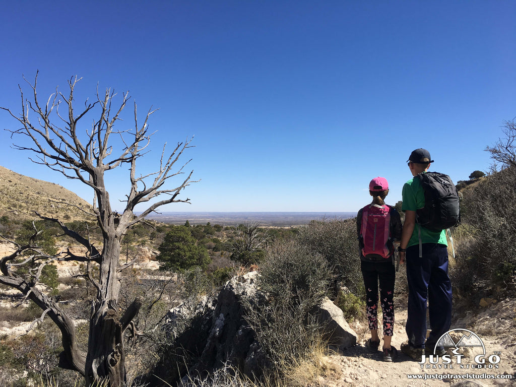 Best Hikes in Guadalupe Mountains National Park