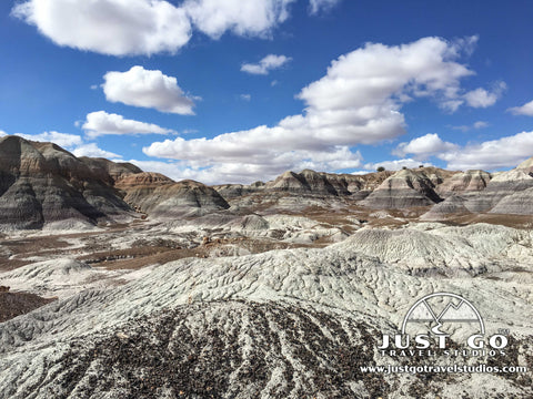 Hiking on the Blue Mesa Trail in Petrified Forest National Park